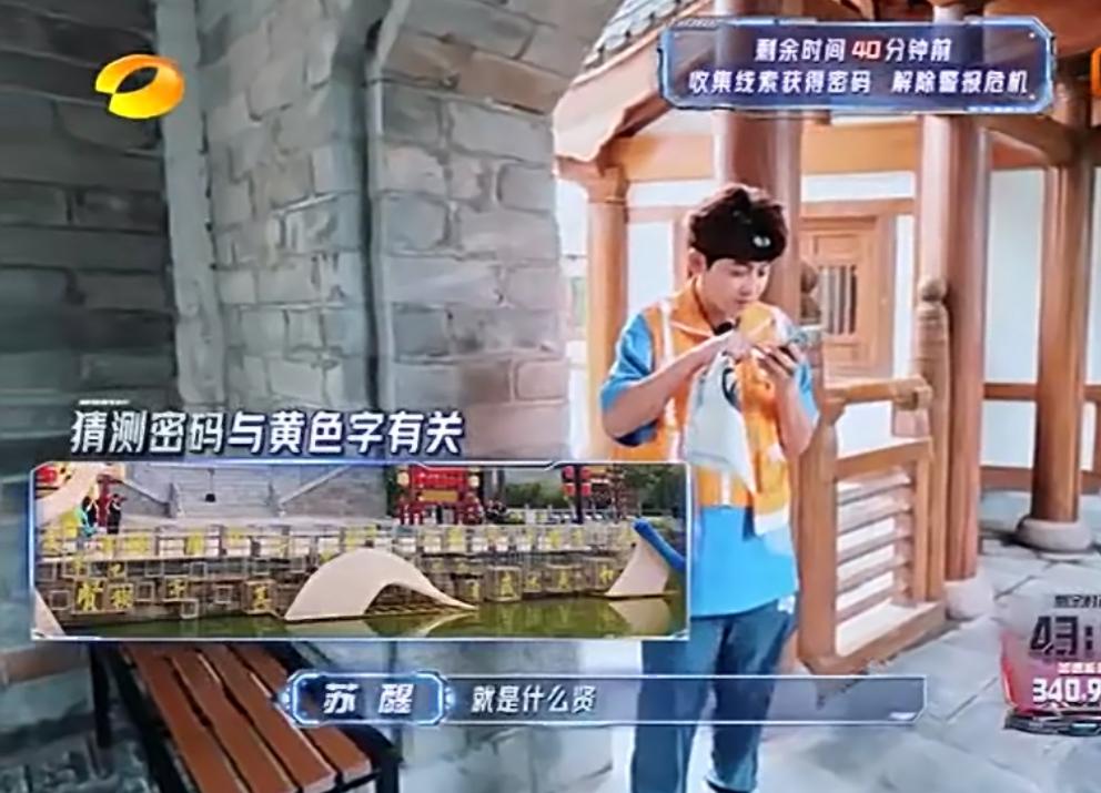 苏醒化身加速诸葛亮，鲨疯了！果然还得是苏大脑。最新一期加速中苏醒大脑的含金量
