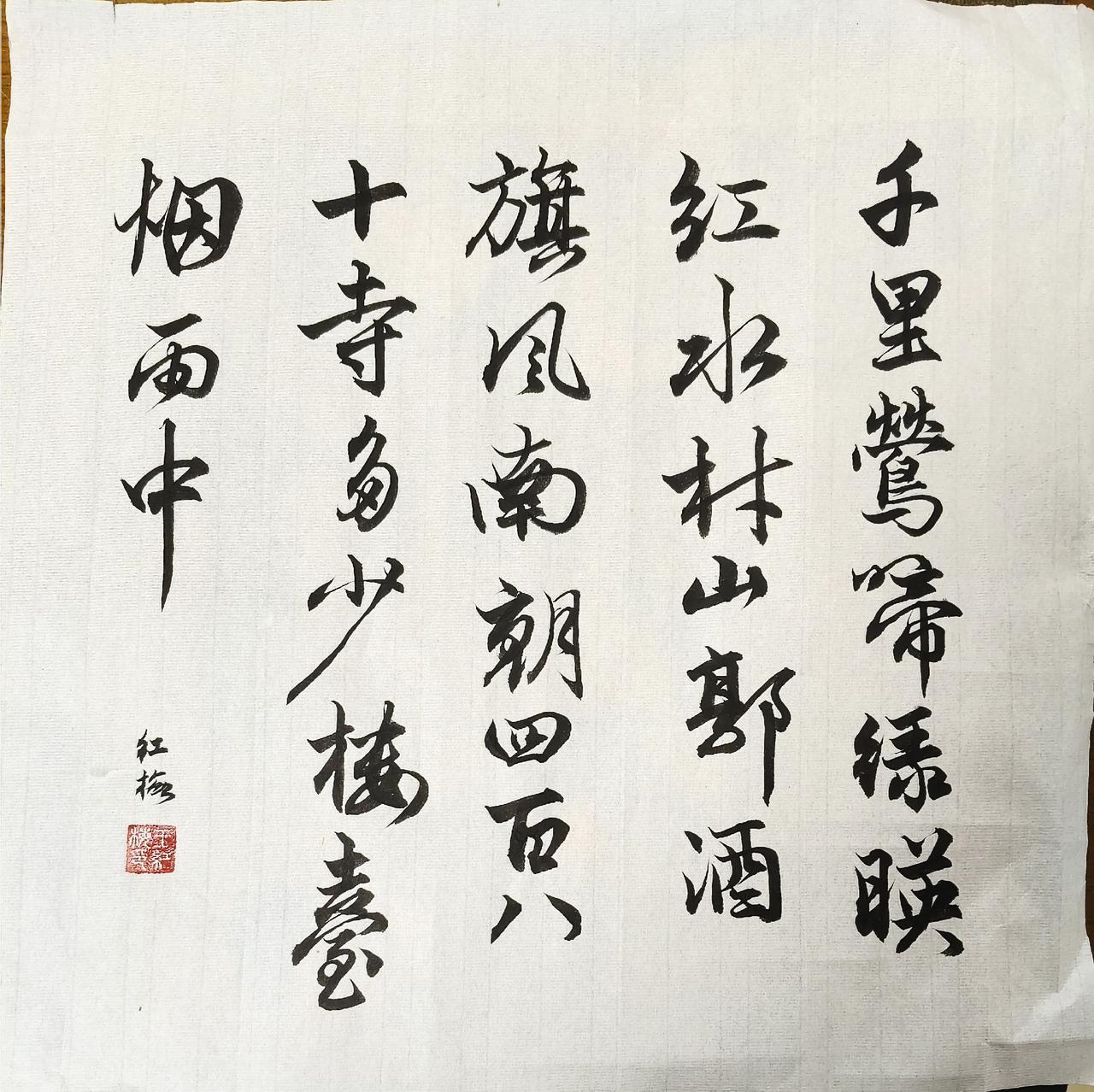 创作者中心创作灵感家有萌宠记录猫咪日常书法