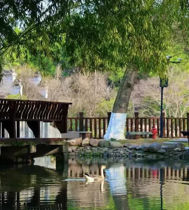 八大山人梅湖景区又发命案！19岁女大学生拒绝搭讪被连捅十几刀殒命！朋友：令人愤怒