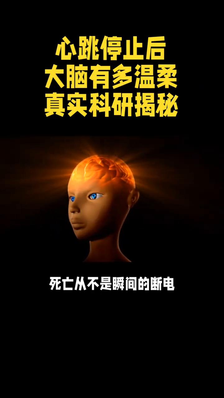 心跳停止后大脑有多温柔？真实科研揭秘，看完破防了。我们总以为心脏停跳的瞬间生命