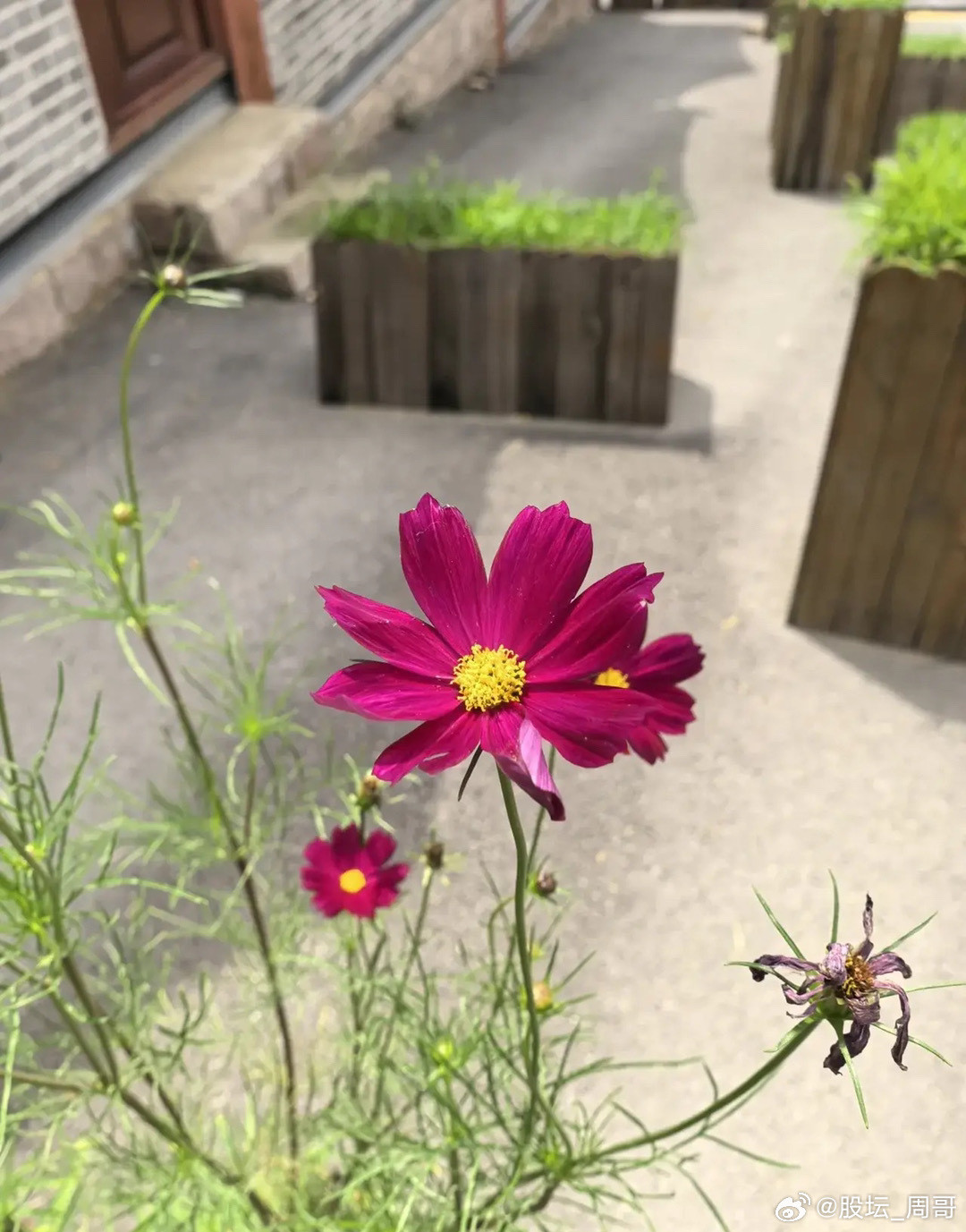 当下行情股民散户该怎么操作？对于大多数还在场内操作的股民散户来讲，普遍会感觉到操