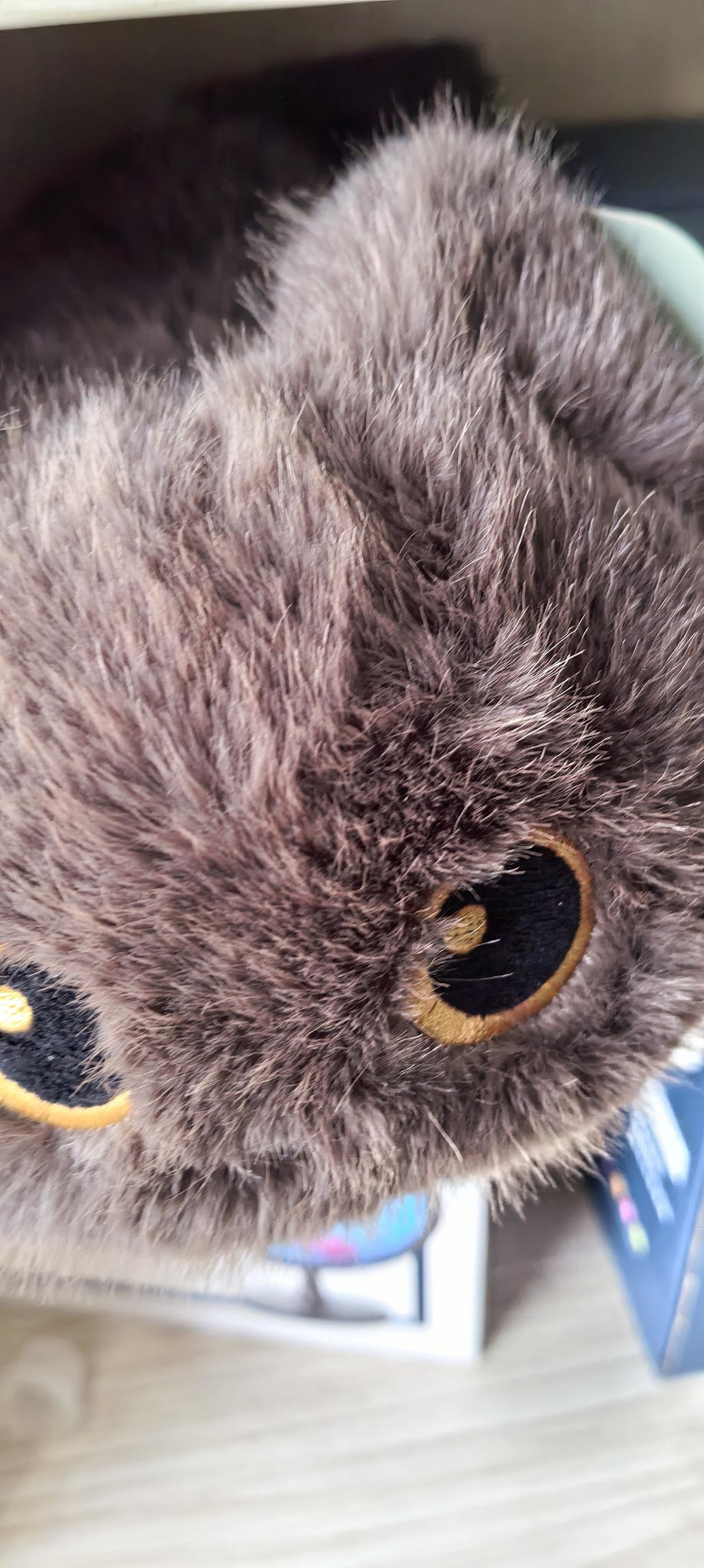 委内瑞拉内部暴动了，原来新任总统是叛徒，哎呀，这总统出卖国家可是手拿把掐，可是委