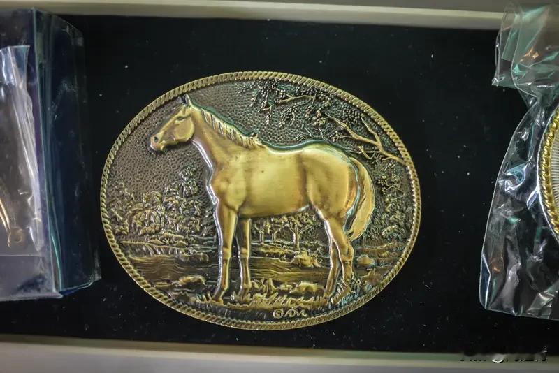 马年纪念币纪念钞发售即秒空马年纪念币纪念钞发售即售罄1月13日晚10时，马年