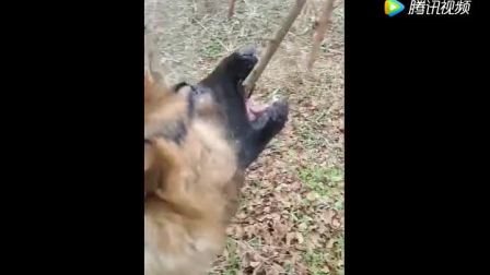 8524353072570686141.jpg?id=0