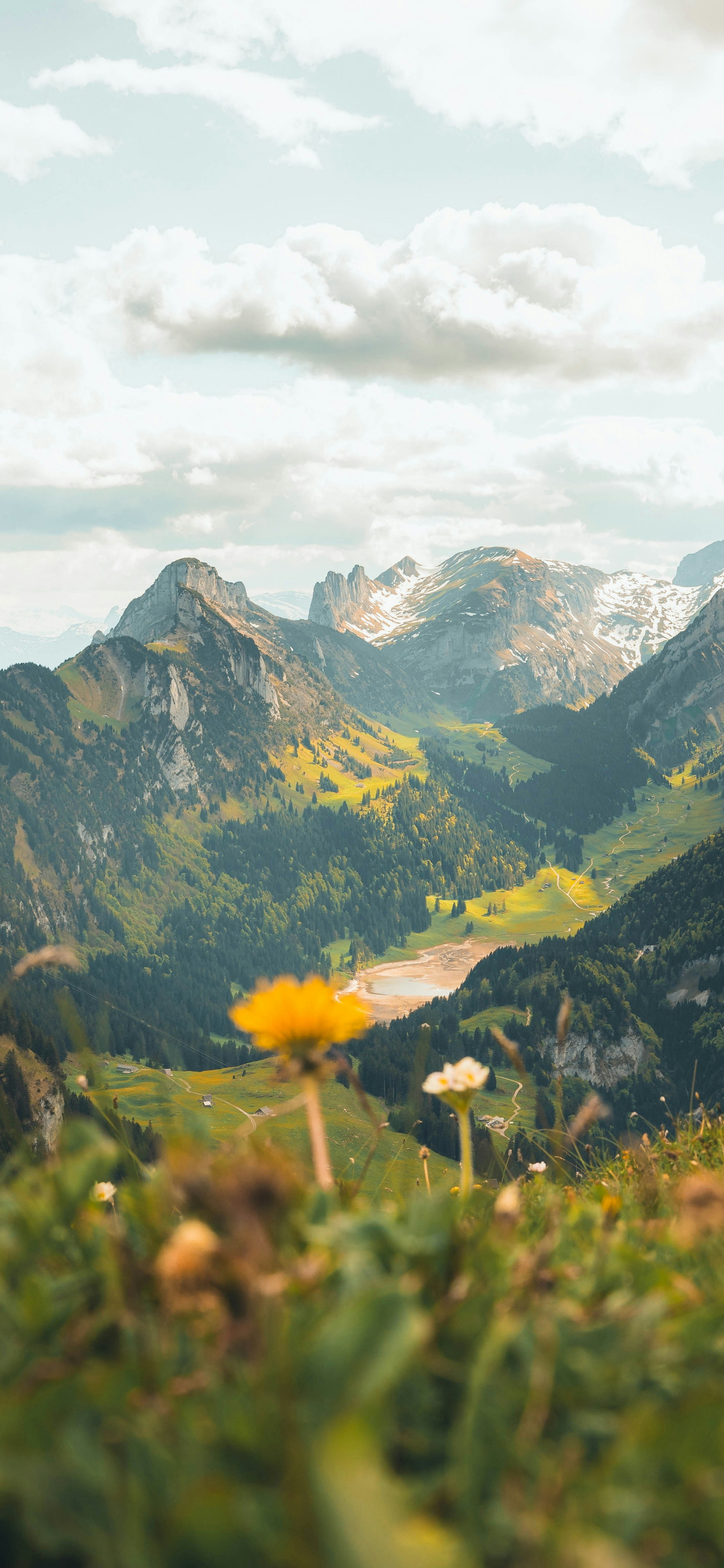 自然风景