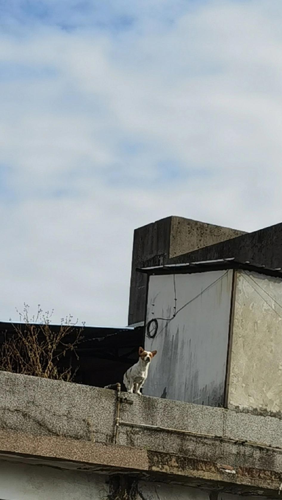 最近经常听何广智的脱口秀。也听过一些徐志胜的。但是我觉得何广智更胜一筹。