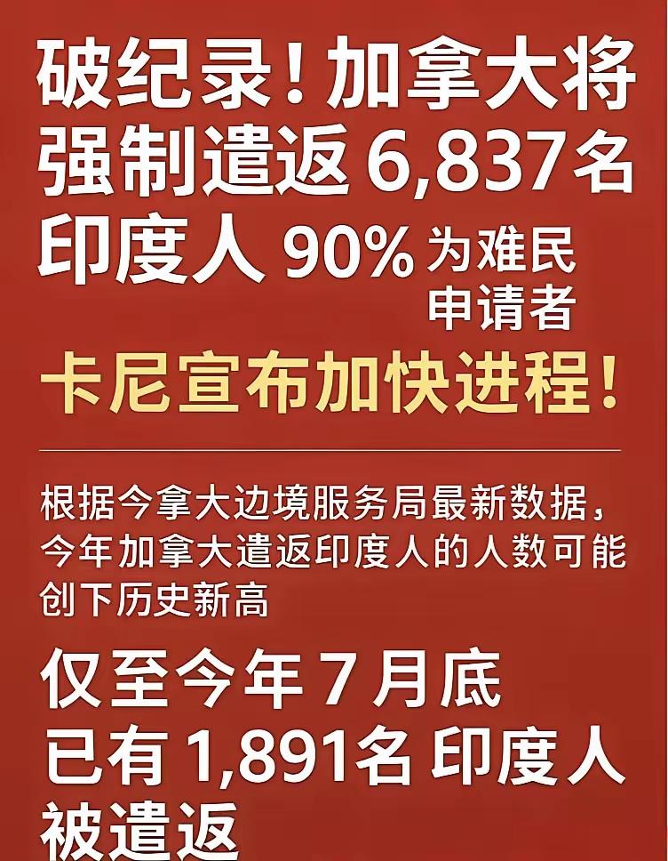 加拿大一口气把6837名印度人送上同一趟回家航班，创下单一国家单日遣返纪录，印度