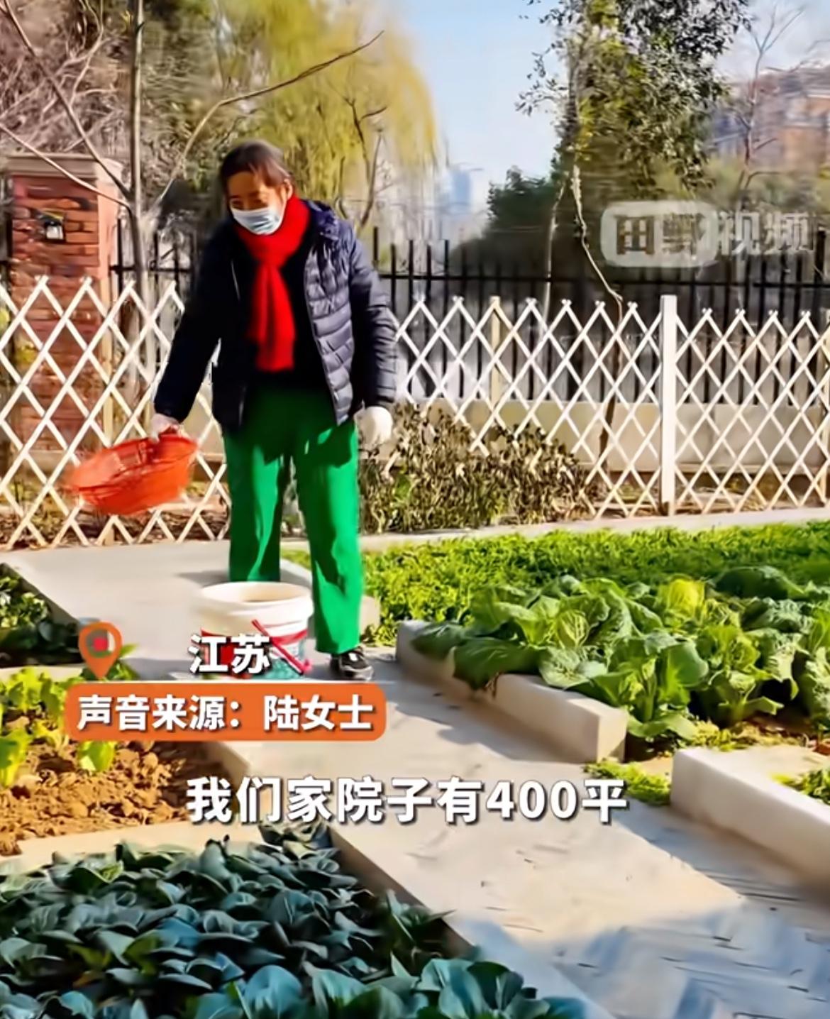 江苏一女子把400平院子共享给邻居种菜，所有的东西都是她自己出，邻居只需要出力菜