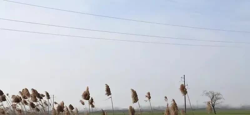 实话实说，我们村里有好几年没有一个考好的学生，大多数都平平庸庸。昨天老公