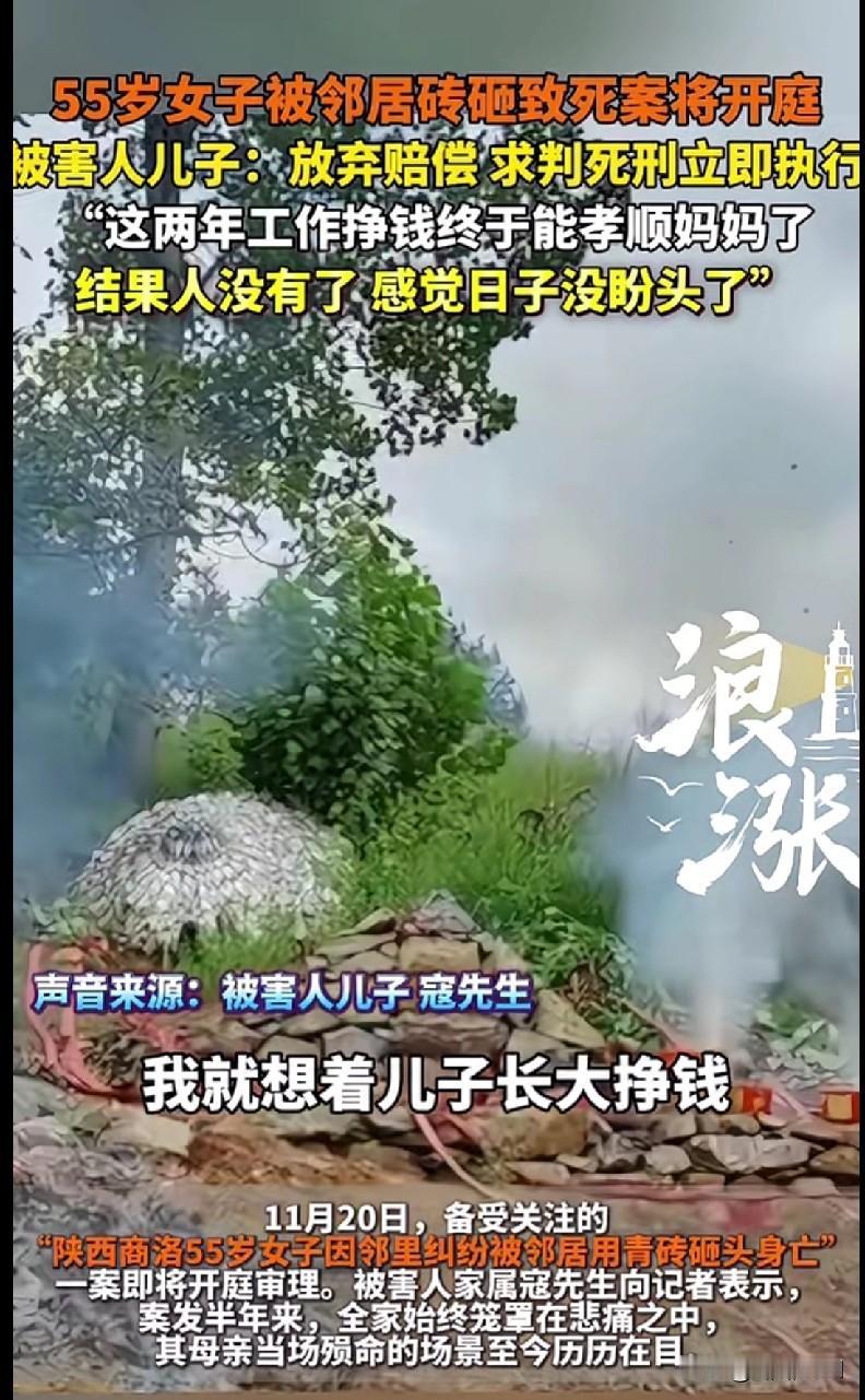这事儿看得人心脏都揪紧了——陕西商洛这起案子要开庭了，55岁阿姨被邻居用青砖砸死