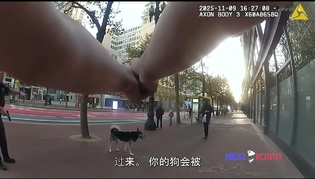 狗咬警察被击毙。这才是依法办事。