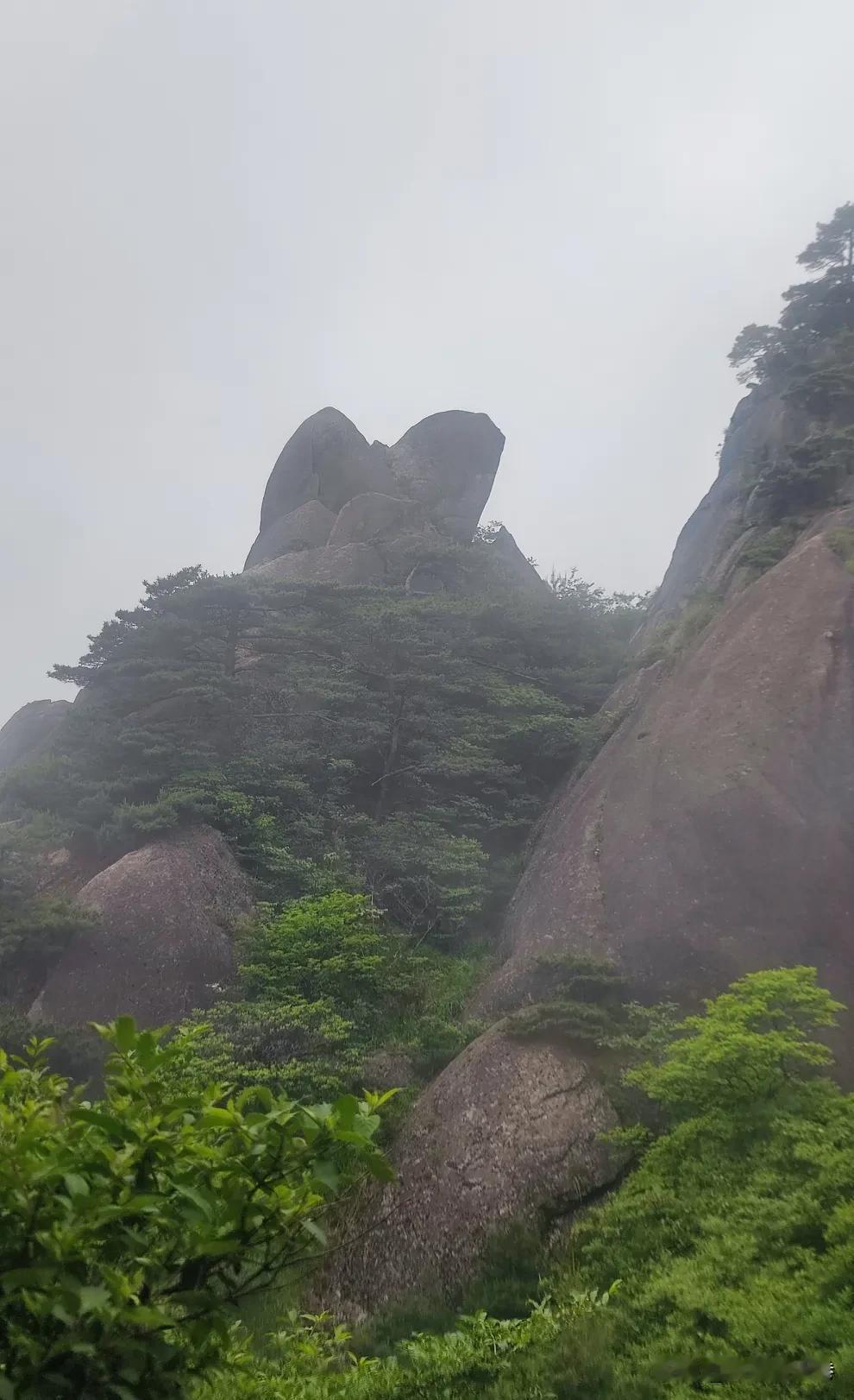 1991年小岗村养猪事件，是单干还是集体劳动以前有过一个笑话，大意是上级组织开