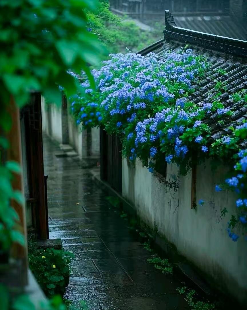 暮雨潺潺，庭院小酣，烛影摇落黄昏晚，梨花带雨三分寒。春深正当时，落花掩流年。