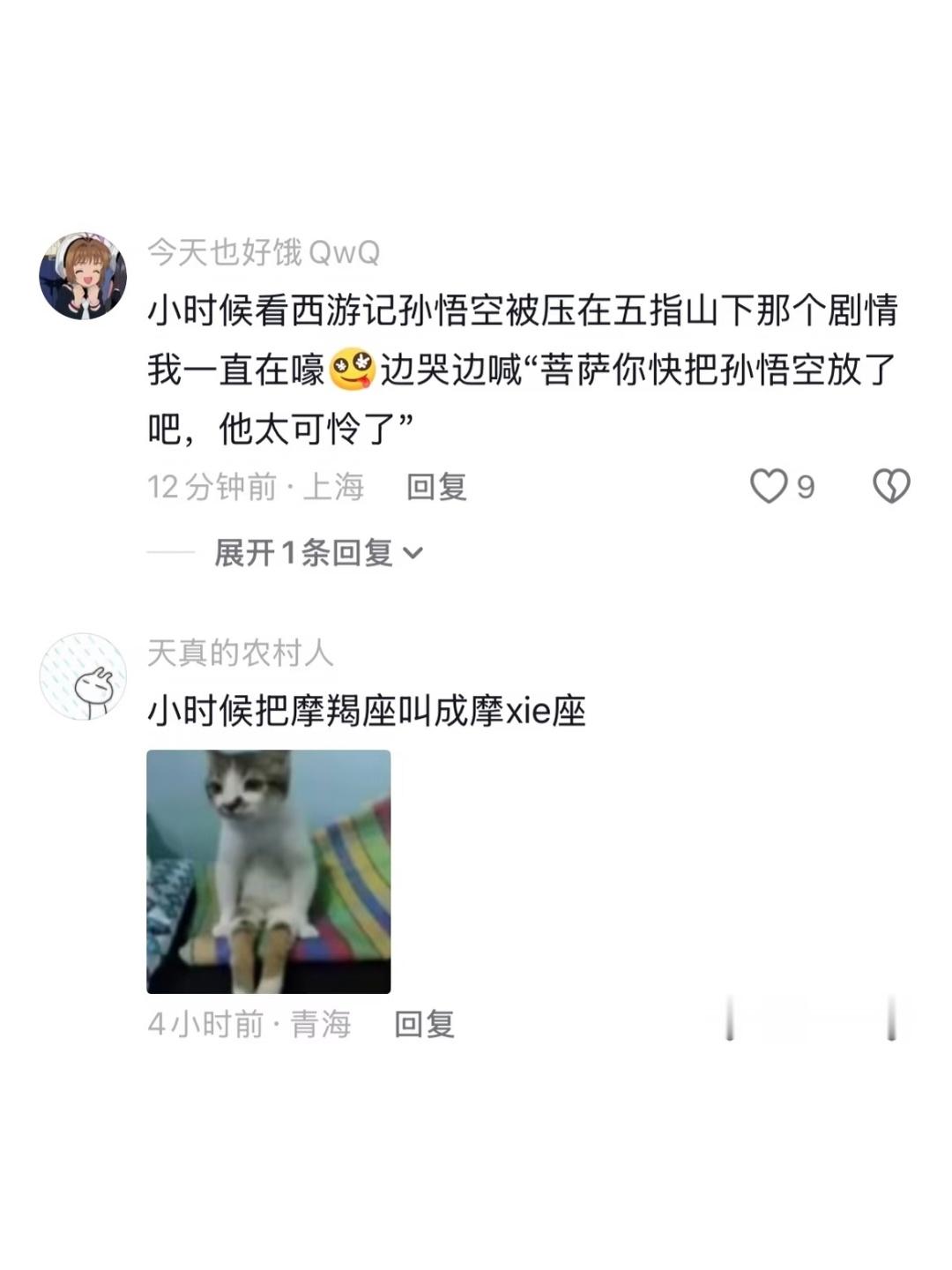 原来大家没开智前都这么好笑啊哈哈哈哈哈哈