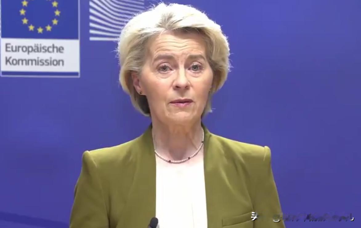 欧盟主席和泽连斯基均表示，与争取自由的伊朗人站在一起！德国总理表示伊朗进入最后的