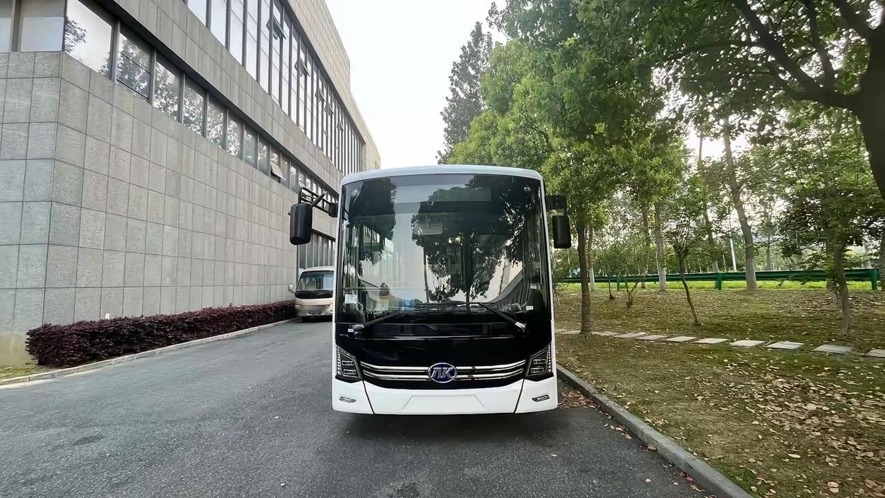 挺有意思，听说中国的电动大巴狂卷东南亚市场。说句实话，在大型公交车领域，似乎西方