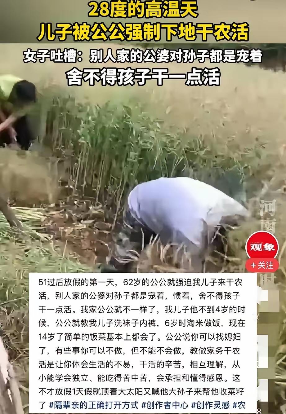 人到了中年再看湖北这对爷孙割油菜的事，蕞大的讽刺，是全网都在夸爷爷会教育，