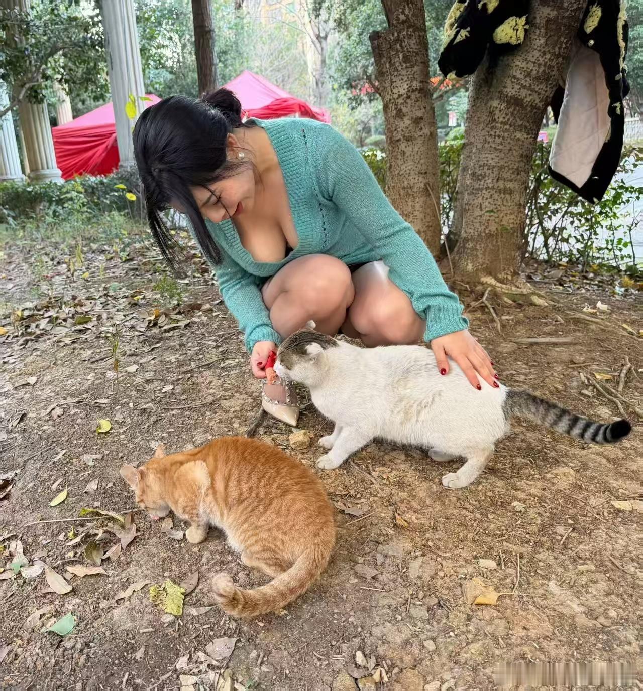 冬日暖阳，看到第一批回乡过年的人在撸猫