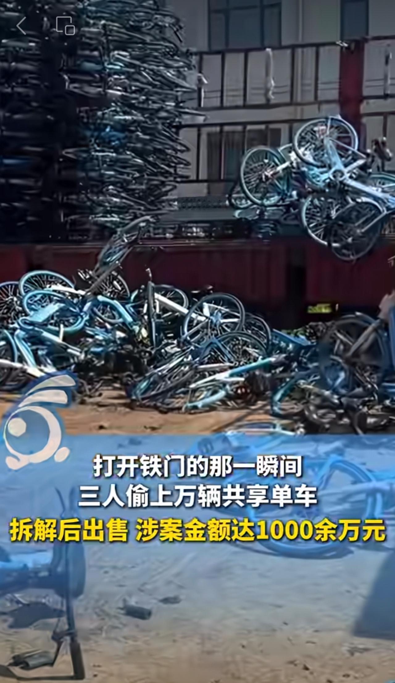 三人偷上万辆共享单车，拆解后出售涉案金额达1000余万元。民警称开门的一瞬间我都