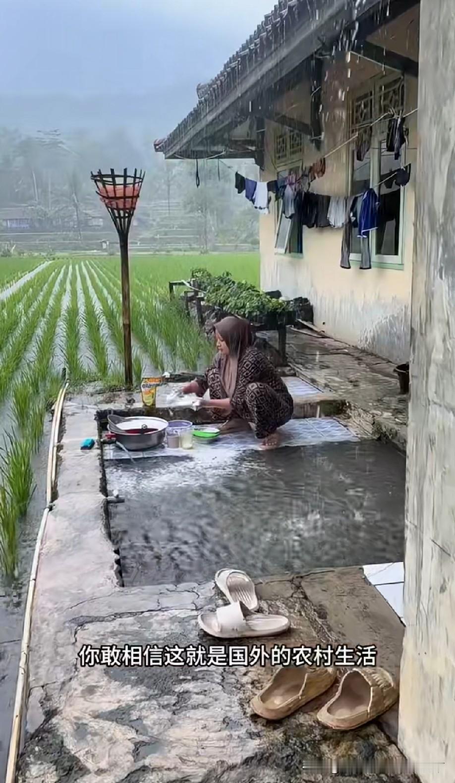 看着挺不错，就是太潮湿了，肯定不是理想宅基地。