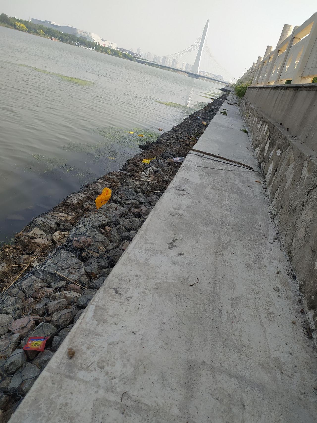 今天水流大，不钓鱼，下得虾楼