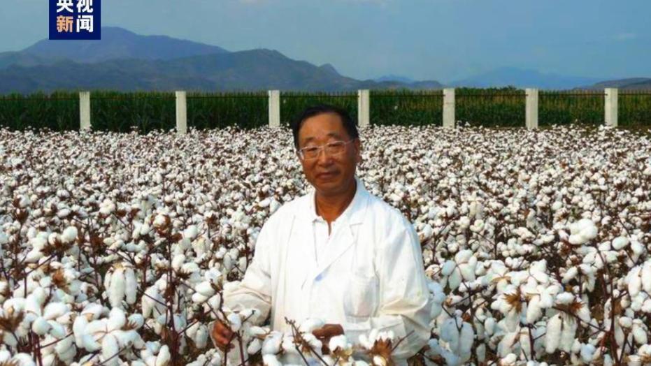 “不引进美国棉种，靠我们自己研发，等到什么时候？”1992年，为应对猖獗的棉铃虫