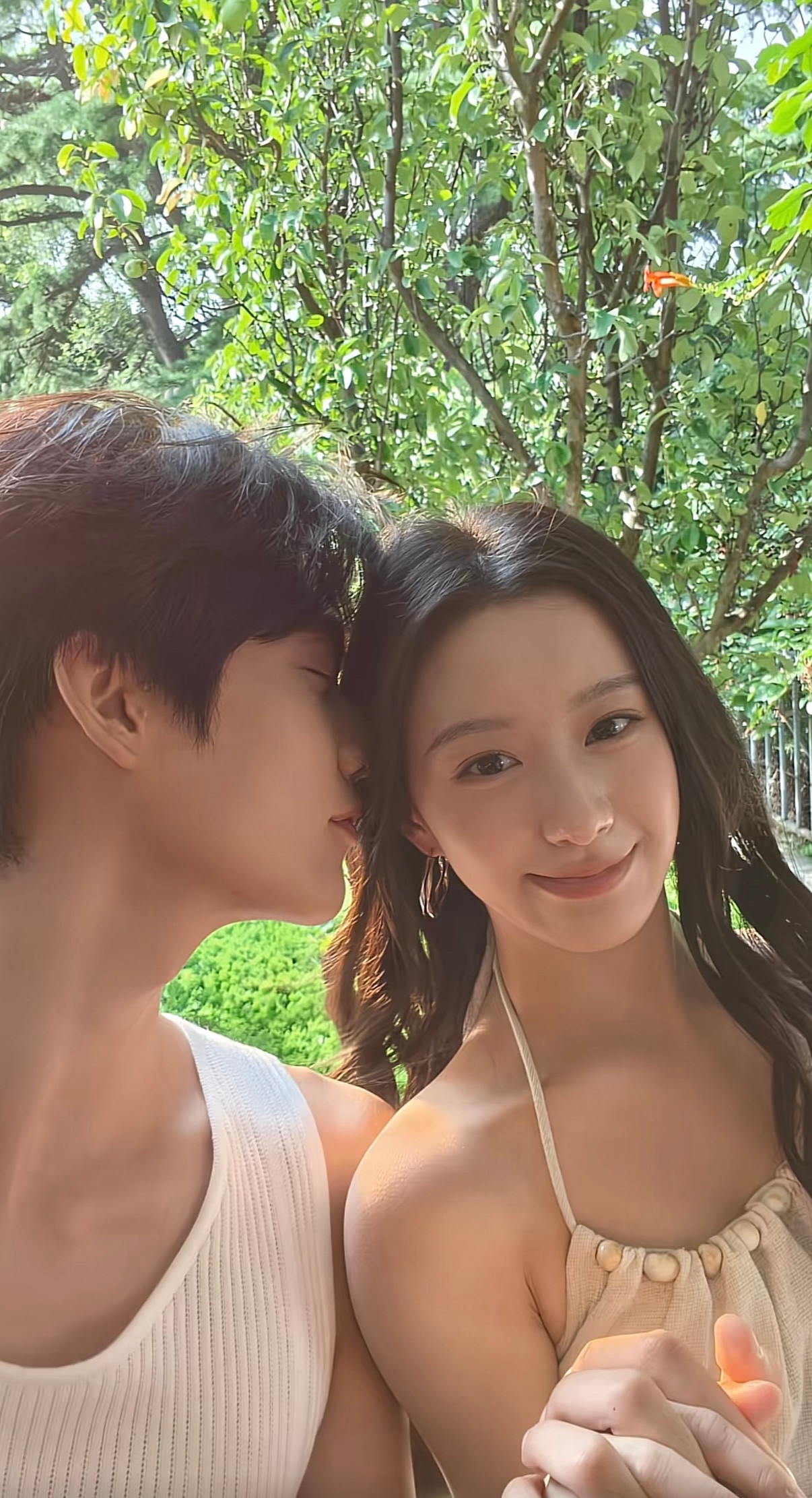 我的发啊。。。电视剧炽夏
