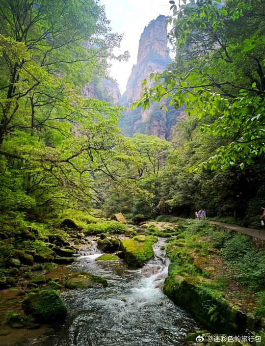 雨天来张家界才是正确打开方式，山间云雾漫涌氛围感拉满。袁家界悬浮山、杨家界天然长