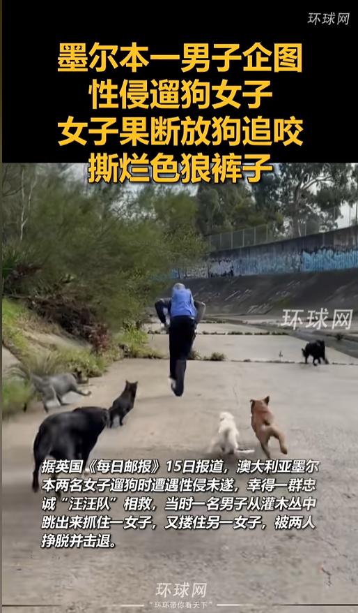 “万万没想到！”7月15日报道，澳大利亚墨尔本，两名女子在遛狗的时候遇到了色狼，