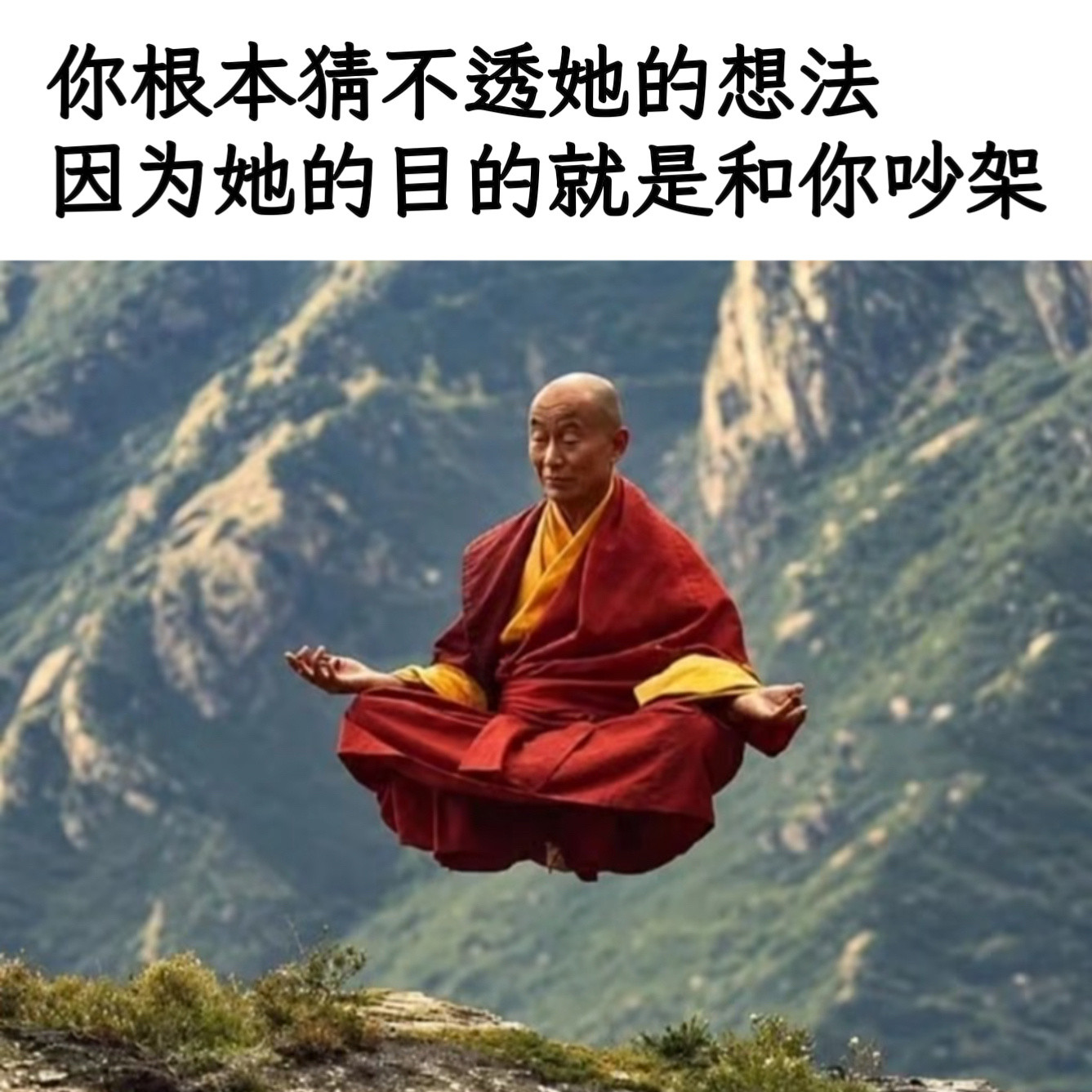 吵了再说memes​​​