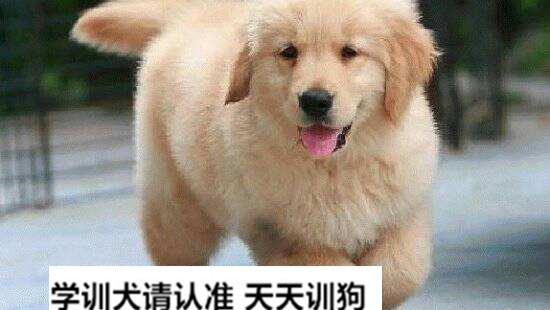 8530605835250313075.jpg?id=0
