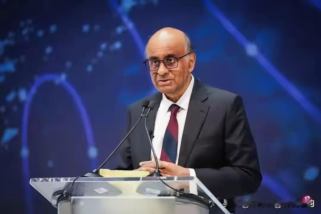 新加坡最近真急了！总统尚达曼公开喊话，求中国“别自立自强，继续和欧美玩”。这哪是