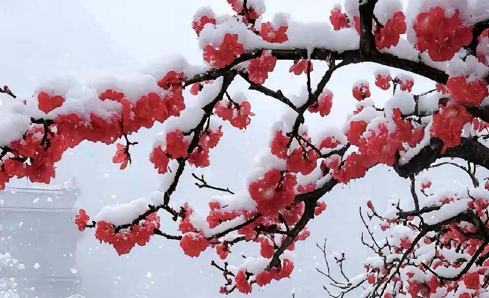 我发现了一个现象？每个有关房地产的小作文下面，都有些无脑喷子，特别是说房子成