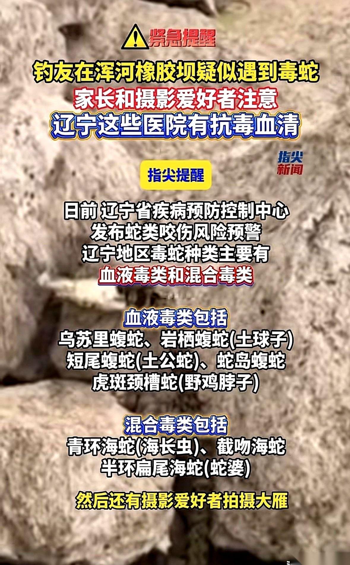 沈阳浑河边上，钓鱼老哥的鱼竿猛地一抖，还以为是条大鱼，结果拖出水面的，是一条在水