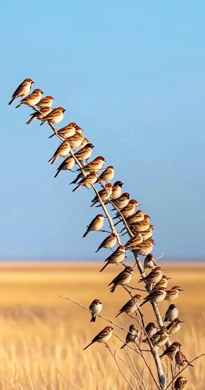 一段醍醐灌顶的话："人若愚蠢，一看便知，但这里的愚蠢，不是智商问题，而是心