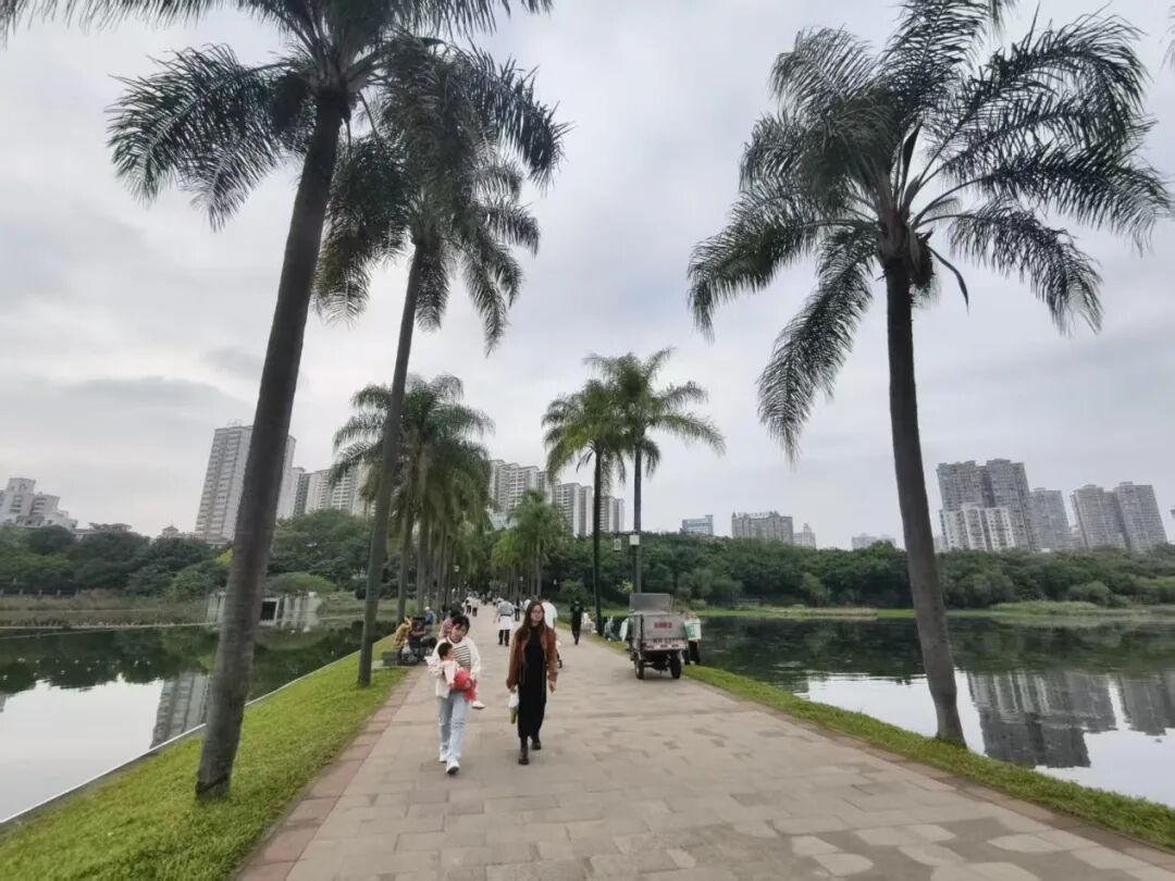 立冬来了, 有3股冷空气排队进入广西, 时间是→