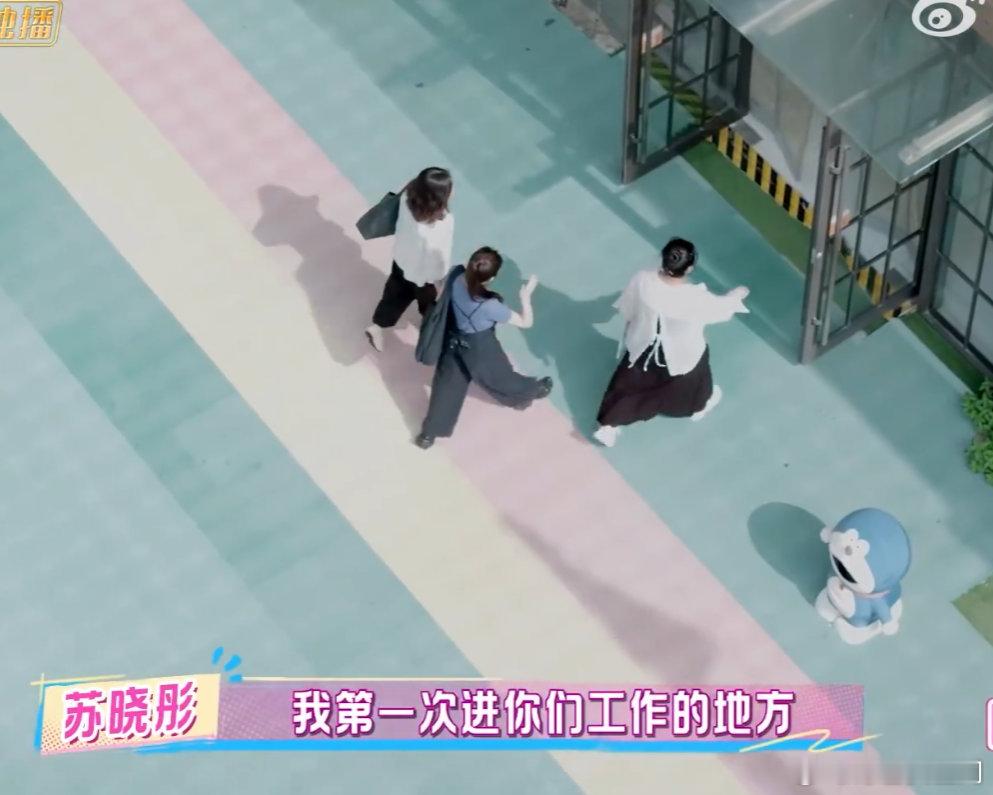 苏晓彤谈第一次去妈妈的幼儿园苏晓彤第一次去妈妈工作的幼儿园，也太好哭了！从有芥蒂