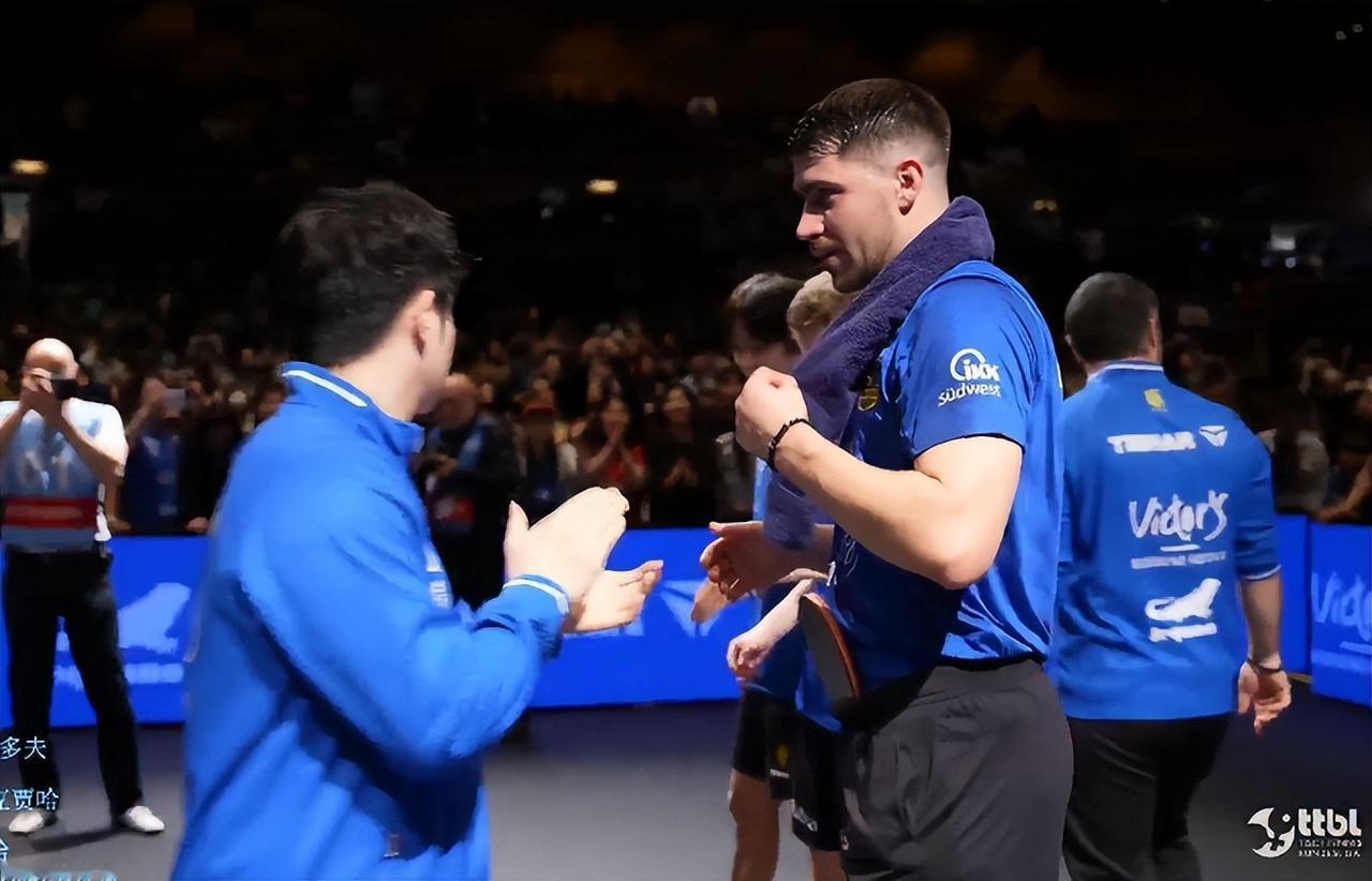 一单樊振东3:0赢了豪格，樊振东3:1贾哈萨尔布吕肯3:2杜塞尔多夫，第