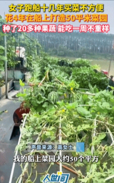 6月3日，广东，女子跑船吃不到新鲜蔬菜，竟在船上打造一个50㎡菜园！如今不仅能一