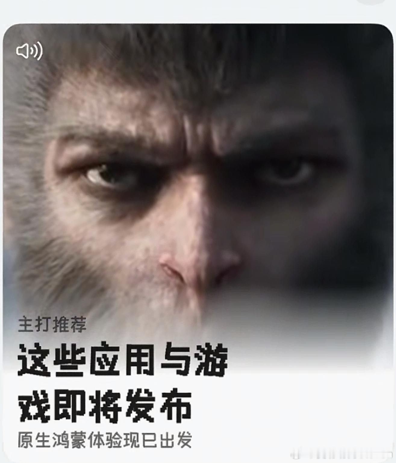 黑神话悟空，别急，在适配了[doge]国产游戏先跟进场，海外的……再等等吧鸿蒙电