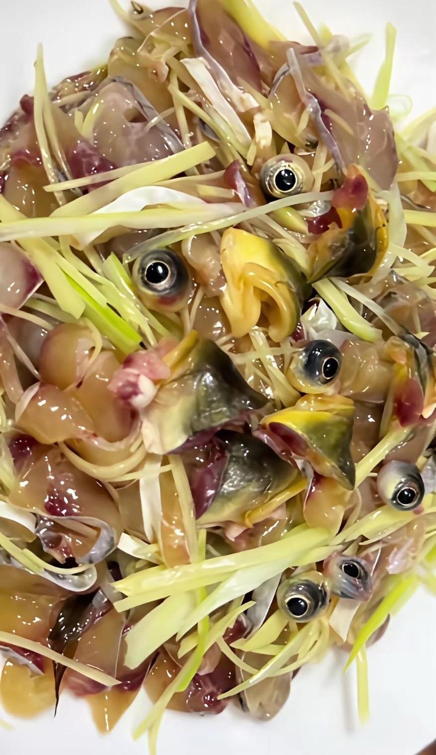 这怎么敢下嘴啊