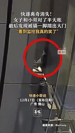 笑不活了！原来都是猫猫惹的祸，近日广东佛山，女子回到家后发现被快递员签收的快递不