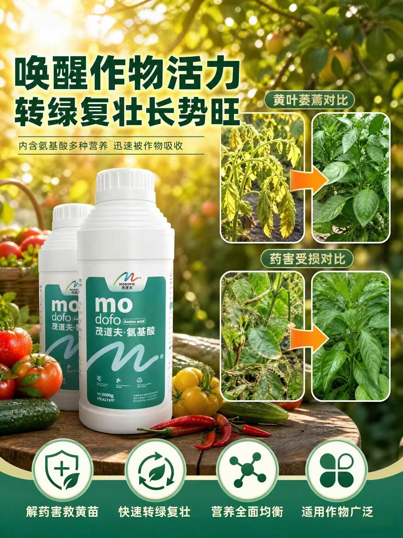 氨基酸叶面肥三农流量扶持计划种植小技巧茂道夫进口叶面肥