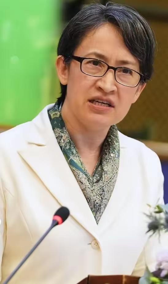 台湾“顽固分子”萧美琴，在结束完欧洲之旅后，再次发表不当言论？据新加坡联合早报报