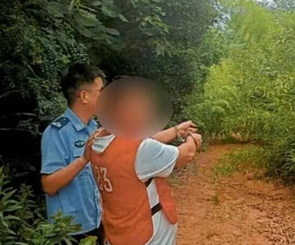 侥幸终酿祸！江苏宜兴两名男子自以为聪明，觉得抓鸟放生不算违法。他们连续两年利用声