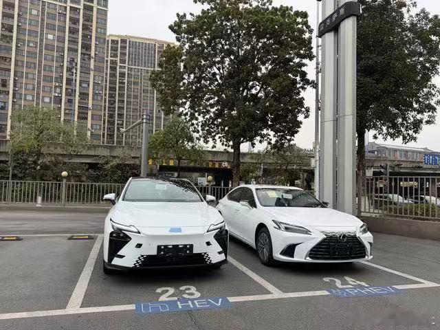 雷克萨斯群里看到的大佬请用三张图片串一个合理的故事给我看看谁的文笔最好