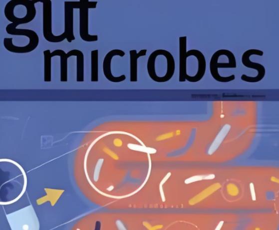 只需要注射一次，癌症完全缓解率100%！日本发现了一种新的抗癌方法，效果还出奇