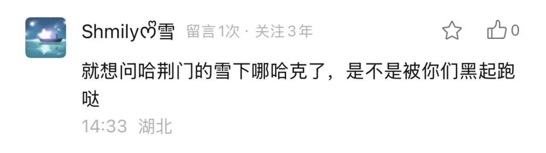 湖北武汉的雪呢