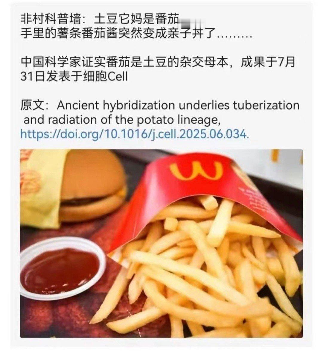 你是说薯条蘸番茄酱变亲子丼了是吗​​​
