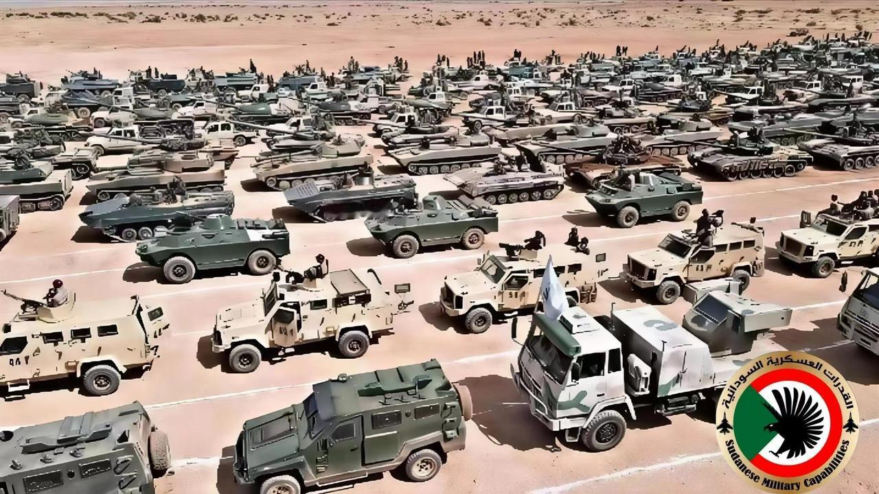 巴基斯坦真给力，都用不着我们出手！巴基斯坦一行动，苏丹军队就突然有能力，摆出大规